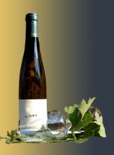 Weingut Rainer Wess - Riesling Terassen 2007