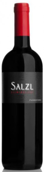 Weingut Salzl - Pannoterra Barrique 2009