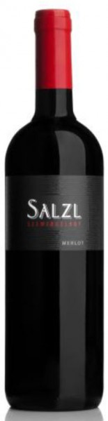 Weingut Salzl - Merlot 2013