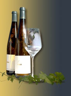 Weingut Rainer Wess - Grüner Veltliner Terassen 2007